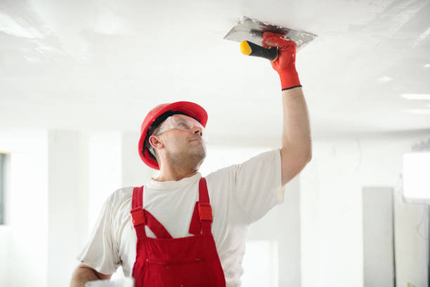 Best Mold Prevention Services  in Vineyards, FL